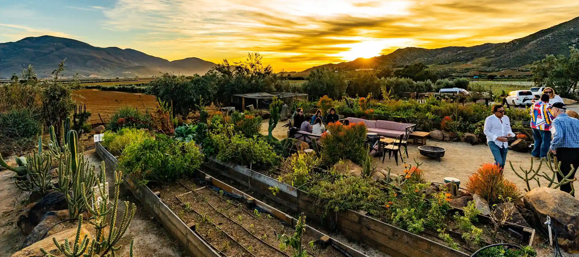 Wine Tasting Guadalupe Valley